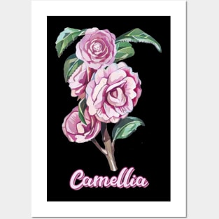 Camellia Posters and Art